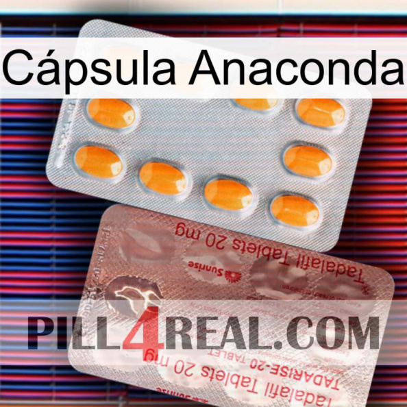 Cápsula Anaconda new13.jpg